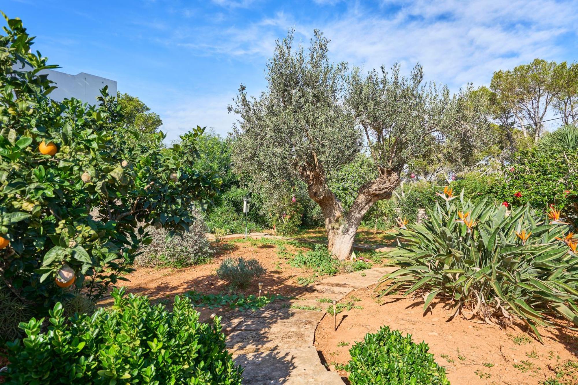 סנטני Villa S'Aguila מראה חיצוני תמונה